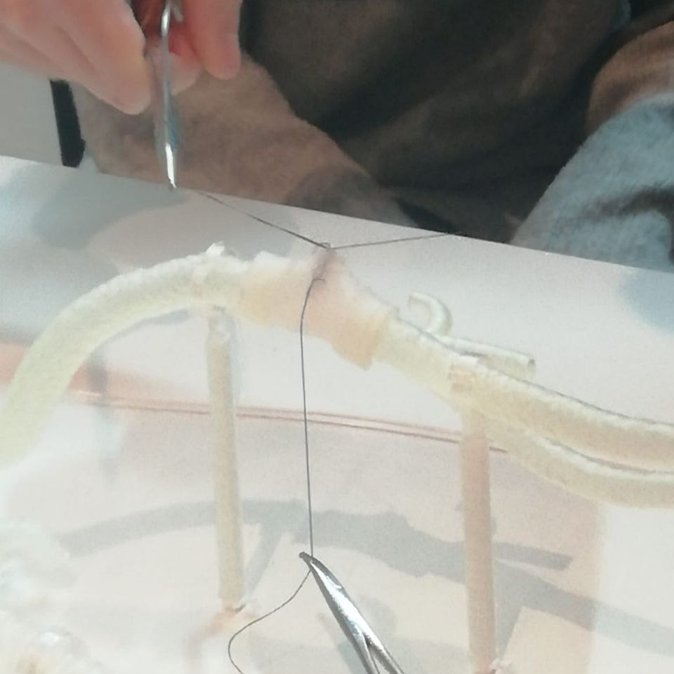 artefactos_org's tweet image. 🏥 Así se preparan estudiantes de medicina en @GVAsalualicante con #modelos anatómicos impresos con el Dr Miñano.

🔬 #tecnología al servicio de la medicina.
🤝 #transferencia de conocimientos y experiencia desde el Lab.
@artefactos_org @UA_Universidad @isabial_iis @SimIAlicante