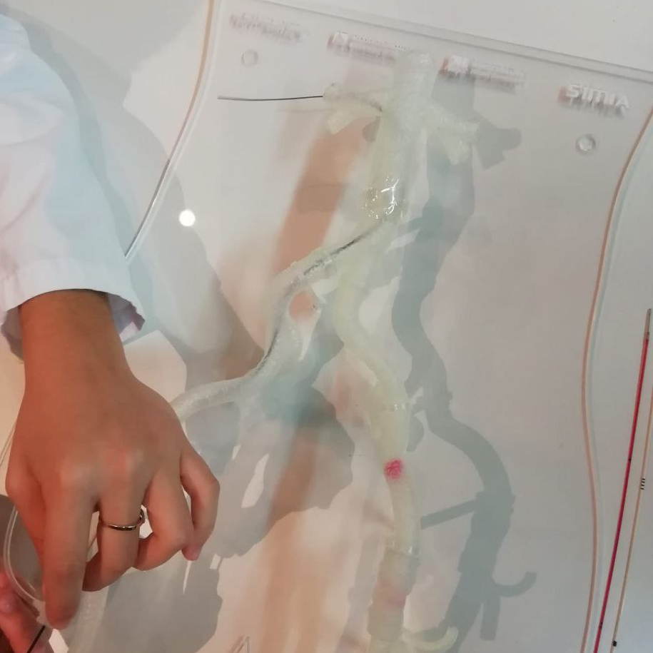 artefactos_org's tweet image. 🏥 Así se preparan estudiantes de medicina en @GVAsalualicante con #modelos anatómicos impresos con el Dr Miñano.

🔬 #tecnología al servicio de la medicina.
🤝 #transferencia de conocimientos y experiencia desde el Lab.
@artefactos_org @UA_Universidad @isabial_iis @SimIAlicante