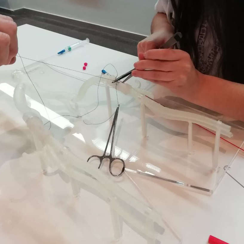 artefactos_org's tweet image. 🏥 Así se preparan estudiantes de medicina en @GVAsalualicante con #modelos anatómicos impresos con el Dr Miñano.

🔬 #tecnología al servicio de la medicina.
🤝 #transferencia de conocimientos y experiencia desde el Lab.
@artefactos_org @UA_Universidad @isabial_iis @SimIAlicante