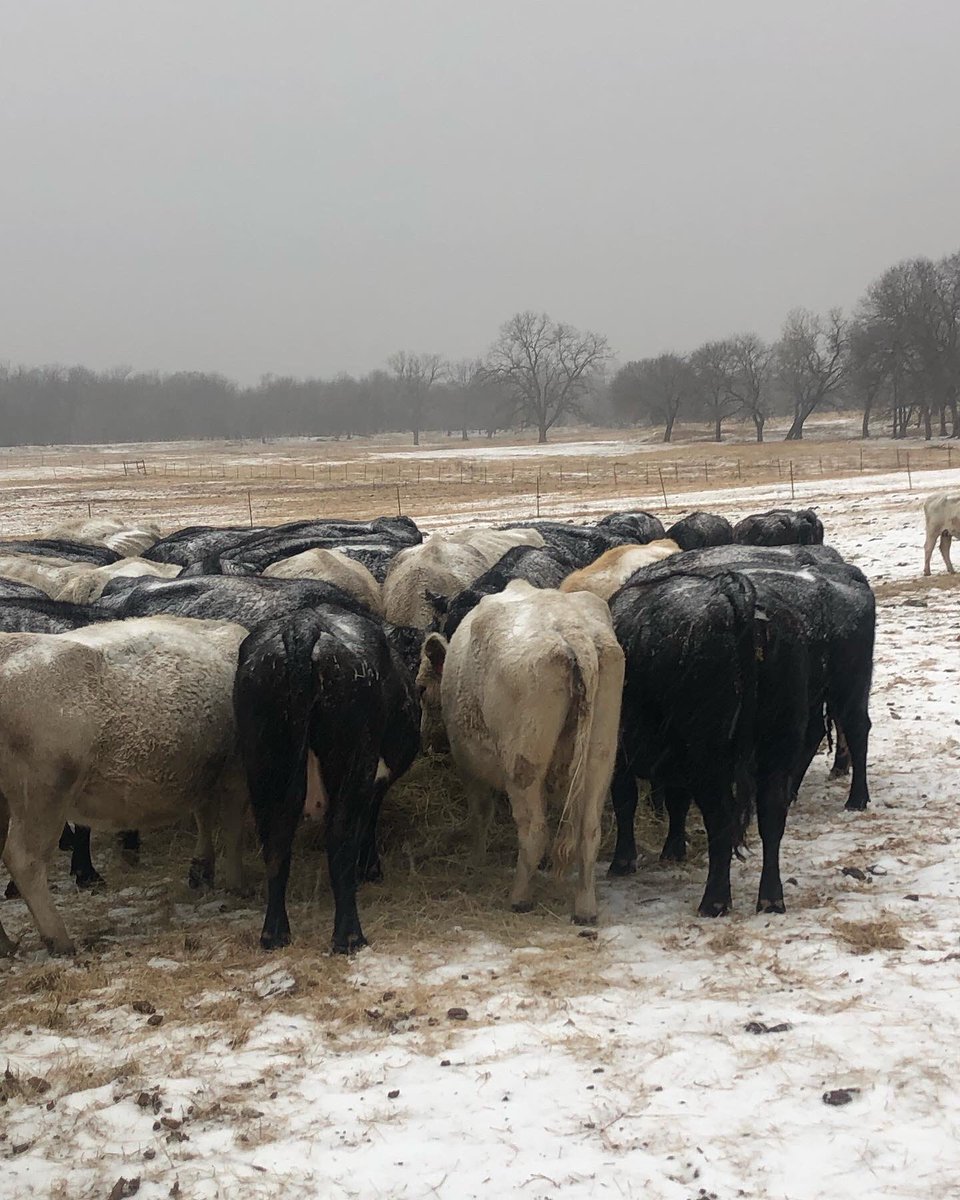Oklahoma Conservation Commission tweet media