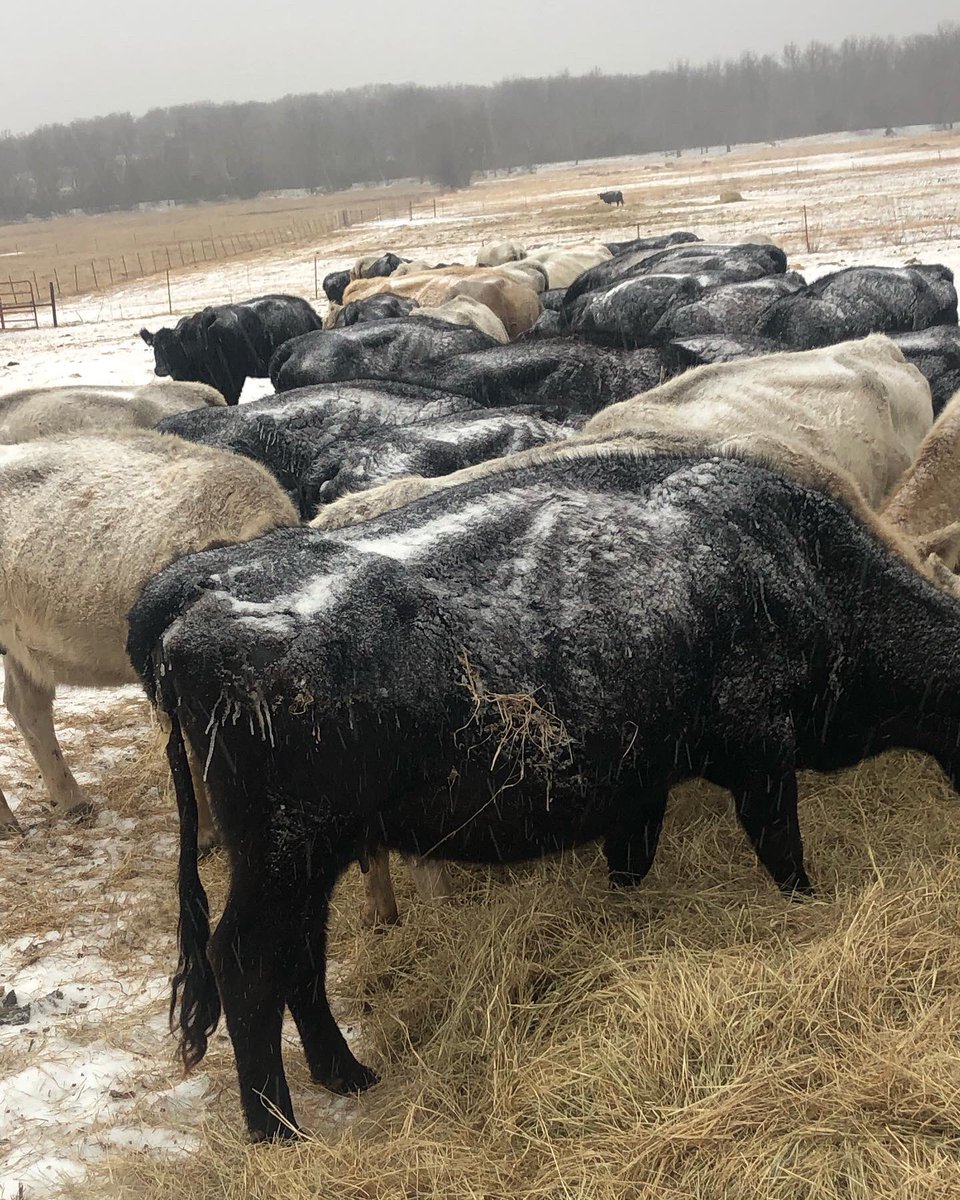 Oklahoma Conservation Commission tweet media