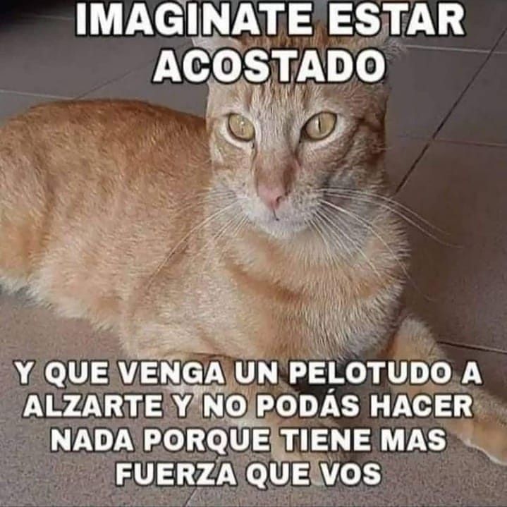 vinoypastis (@vinoypastillas) on Twitter photo 