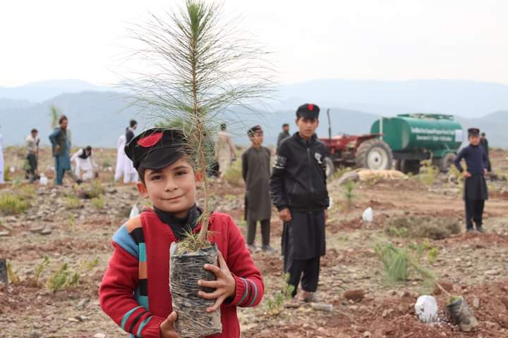 malikaqibktk's tweet photo. School boy from Dag Ismail Khail holding Pine Cher Plant for plantation in premises of Jalozai Dam Dag Ismail Khail during #PlantForPakistan plantation drive held on February 22nd.
#KPForest 
#SpringPlantation2022 https://t.co/Hba5ulnnAM