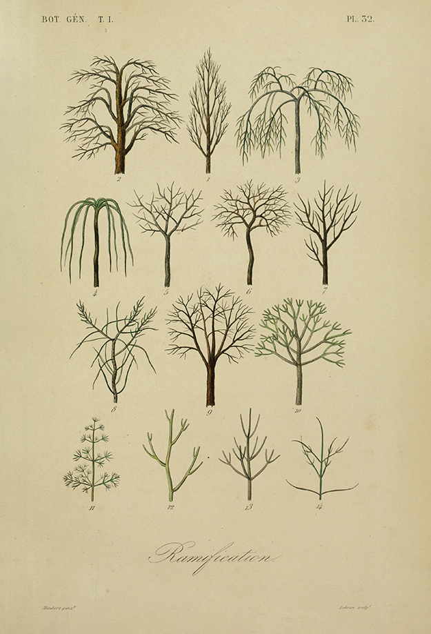 The Beauty of Nature’s Functional Designs. "As Ridley describes, trees have inspired everything from Greek and Roman columns to the vaulted ceilings of medieval churches. Throughout history, architects have been drawn to designing with trees and plants" buff.ly/3vfVmUO