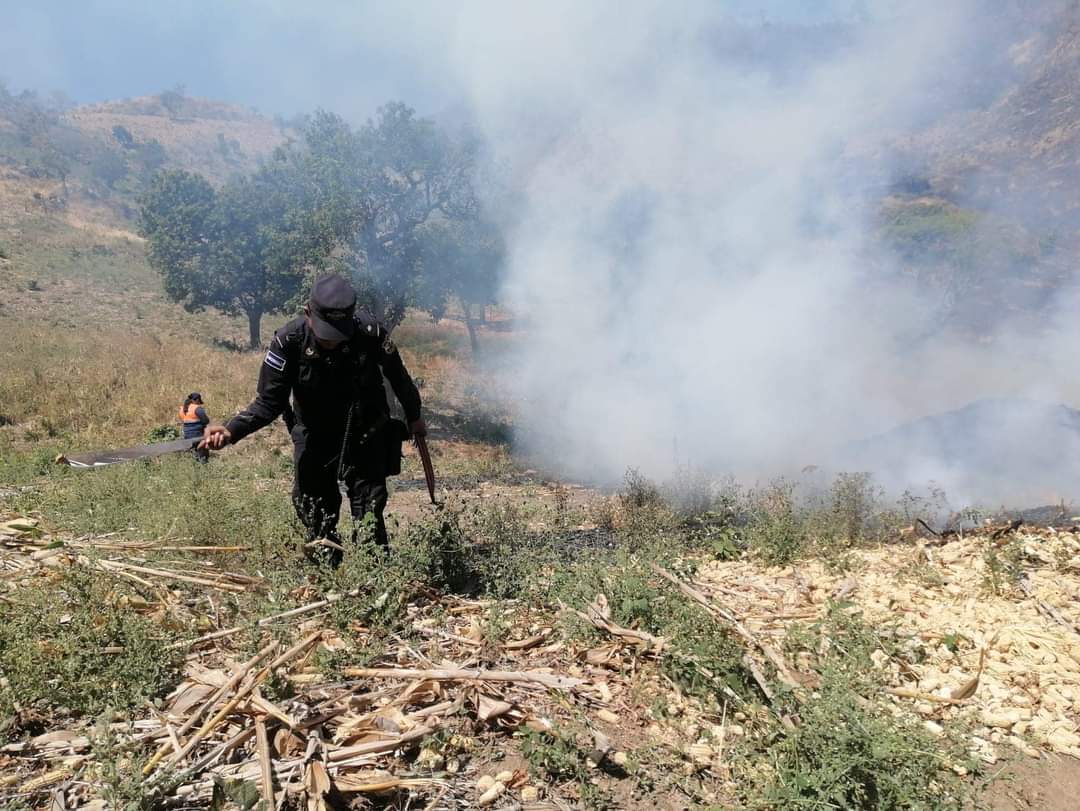 jeliasescobar's tweet photo. Protección Civil declara alerta roja por incremento en incendios forestales en El Salvador.

Abro hilo 

Cc @PROCIVILSV @GobernacionSV @JC_Bidegain @SandraYaniraSV @EdgardoMulatoSV
@WalterAlemanSV @LRodriguez_SV @lopezfernando @MartinezDavid_1 @AlexiaRivasG1 @rodrigoayalasv https://t.co/y9bm36joJl