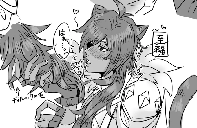 ディルガイ続き 