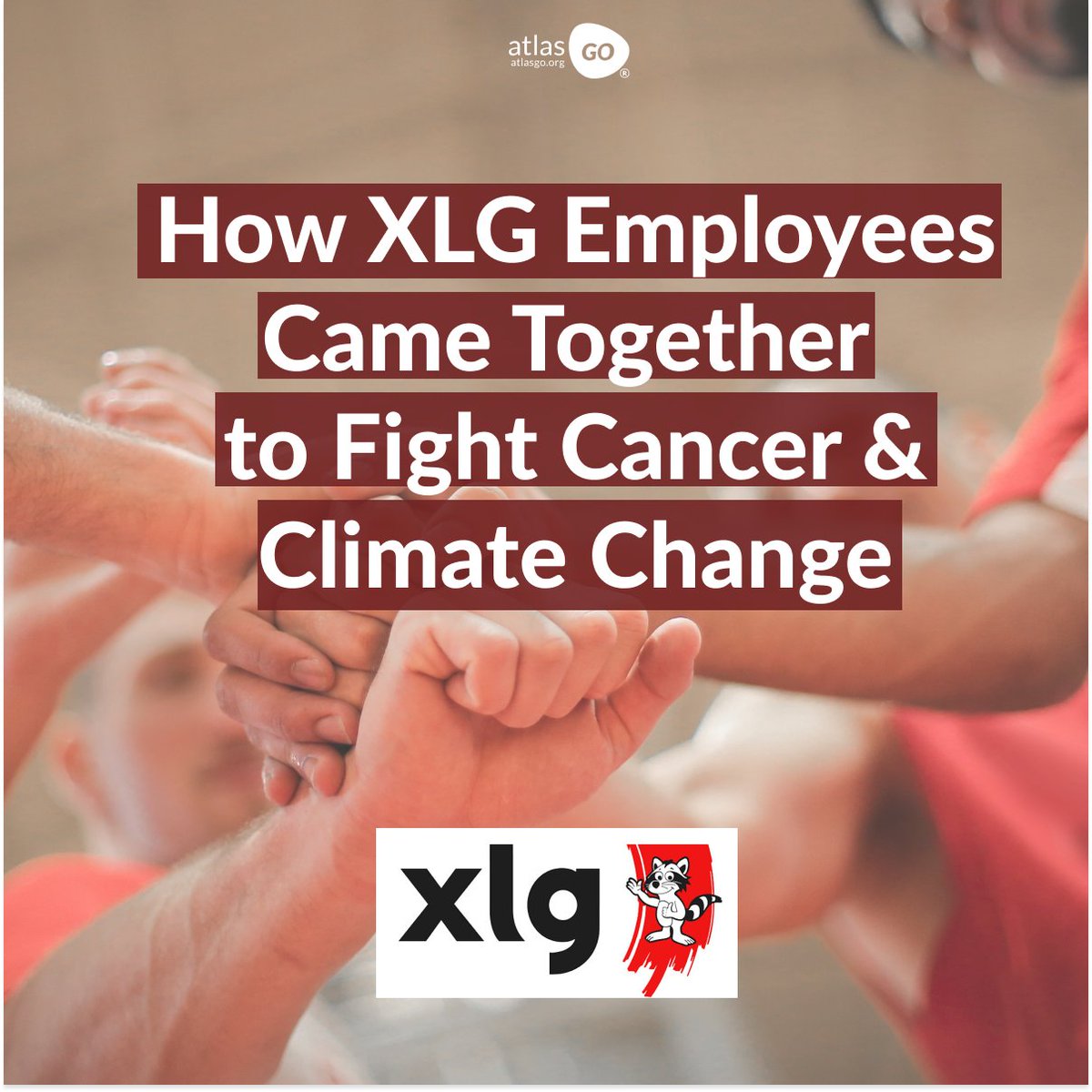 XLG's employees came together to fight cancer &amp; climate change with two <a href="/atlasGOapp/">teroGO</a> employee engagement challenges! 💥

For the second time in a row, we collaborated with them for their virtual #teambuilding in support of good causes. 🙌🏼

Read more: bit.ly/35fgQGt