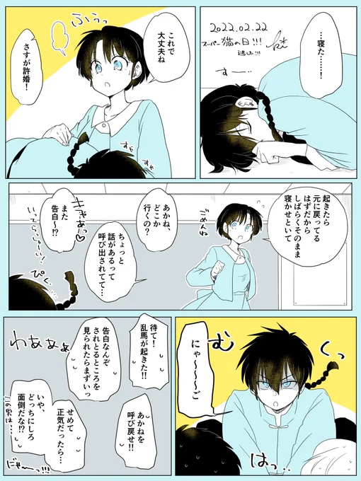 猫乱寝かしつけ 