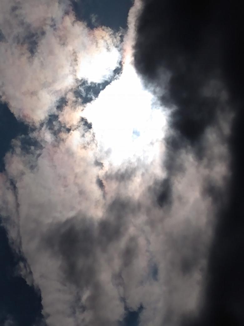 I'm sharing some of my photos in my new book (It came  from the sky.)