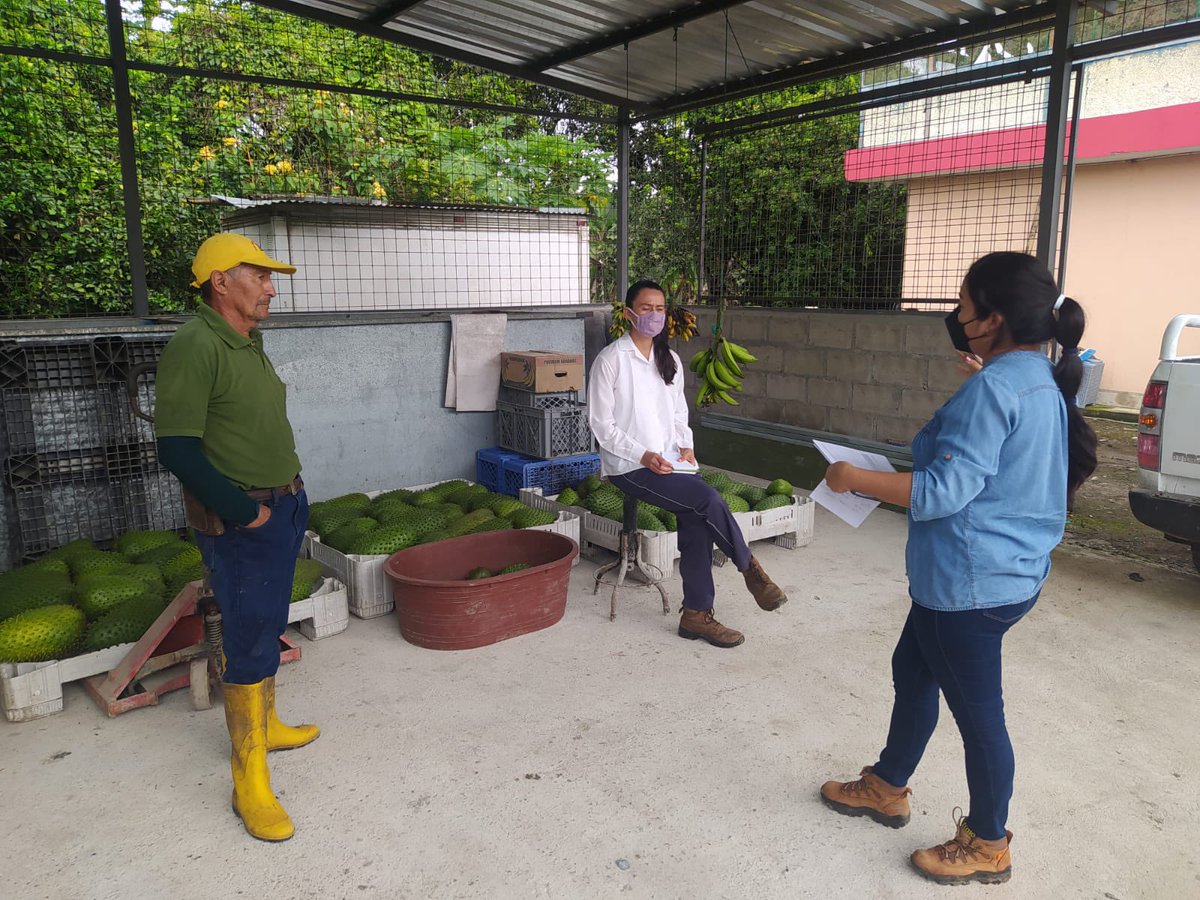 Agricultura_CZ5's tweet photo. Compartimos con Víctor Guano de la Finca Las Carmelitas, del cantón Buena Fe, donde socializamos sobre la aplicación de buenas prácticas agrícolas en su cultivo de Guanábana, y recomendamos la implementación de señalética y punto de recolección de desechos. #JuntosCumplimos https://t.co/mc6lkEafrS