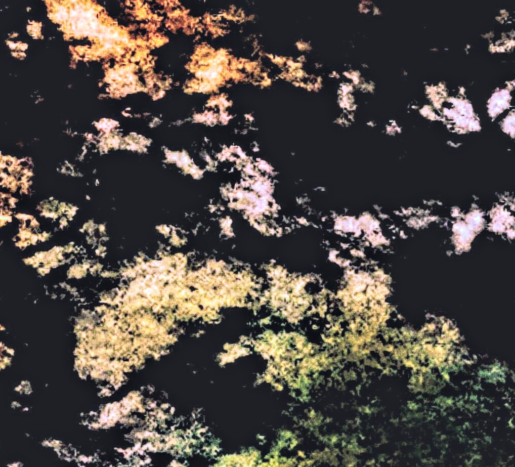 Photos from my new book (It came from the sky). Artwork by Eric A Thomas...