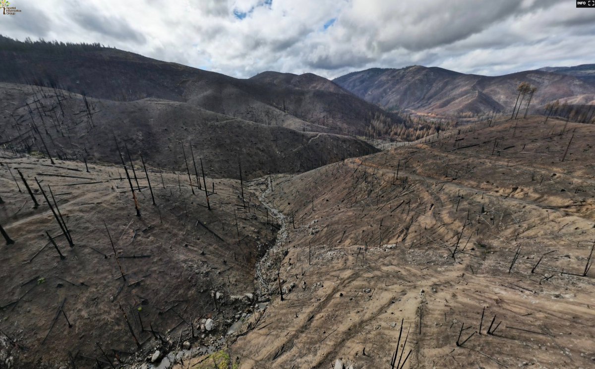 wildland_zko's tweet photo. These two remarkable panoramic photos show a wide variety of fire effects where #DixieFire reburned the 2007 #MoonlightFire. Most private lands were salvage logged/replanted after the 2007 fire, public lands were largely left alone. https://t.co/wUeHHD2cYM https://t.co/mp8hLF9ViI https://t.co/QNpnIwVl5M
