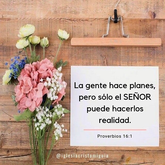 Patrici81824336's tweet photo. Confío en ÉL 🌼🌹🌸🌻🌷 https://t.co/bowDrW4pbe