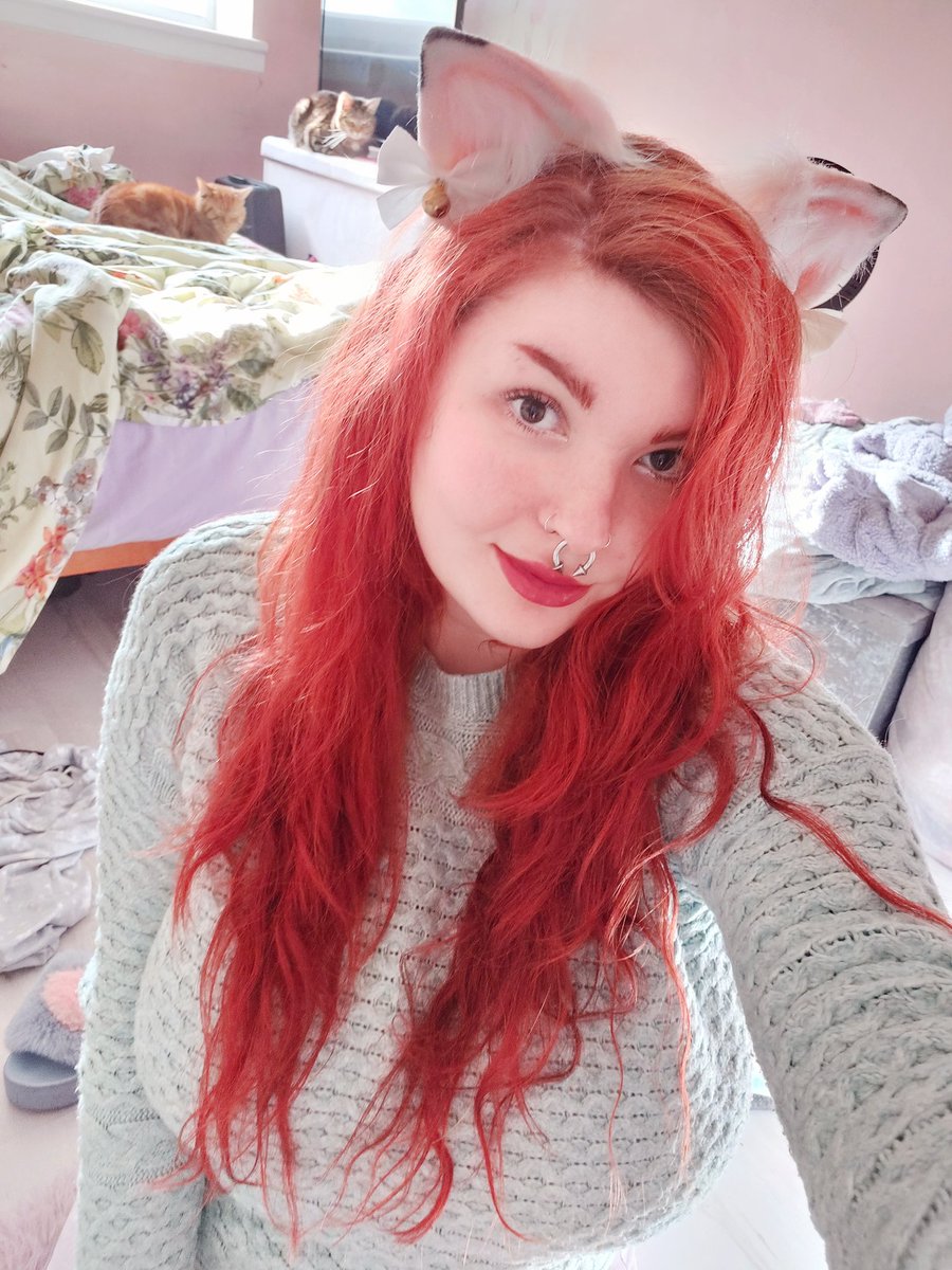 Xxgummycherries's tweet photo. Today I feel like poop buuut I looked really cute and innocent here and not at all like I love anal and wax play ππ
#neko #pastel #softslut #catgirls #tonguebar https://t.co/WvvETpRAZc