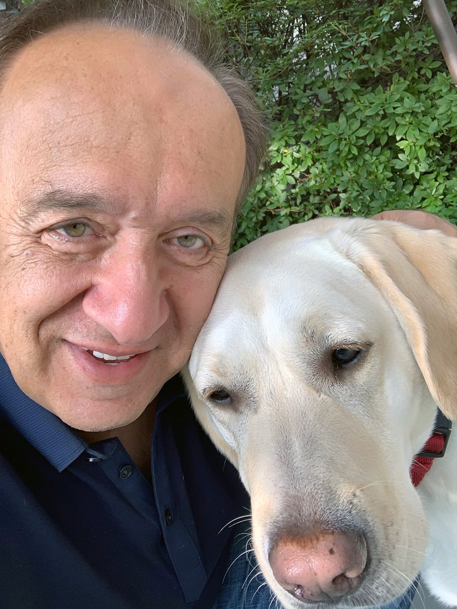 Nasser Paydar tweet media