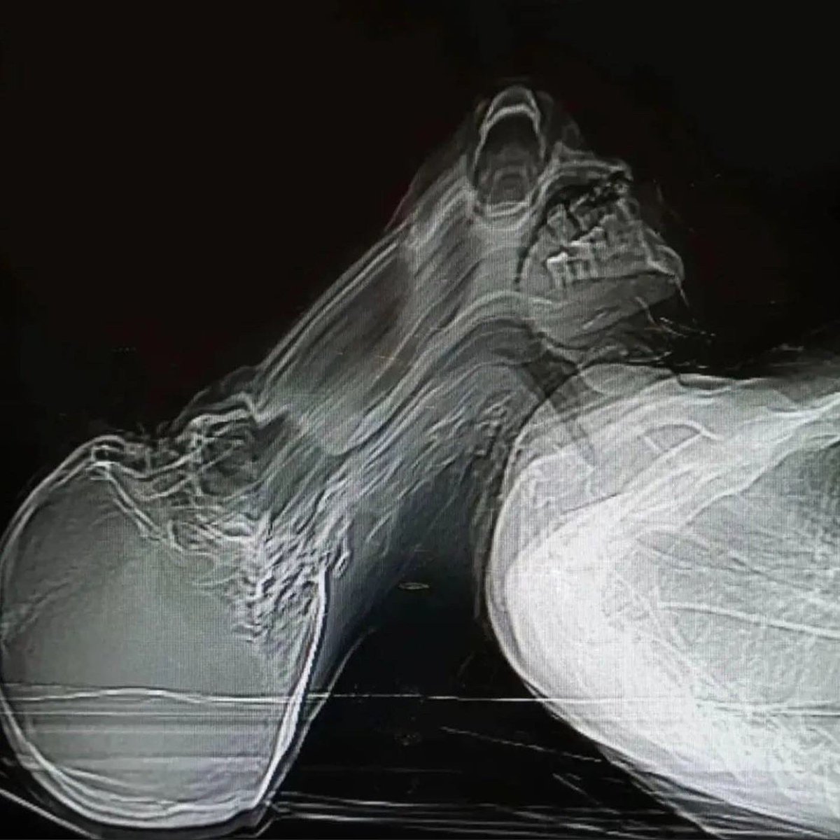 The Northwest Emo Show (@emonorthwest) on Twitter photo 