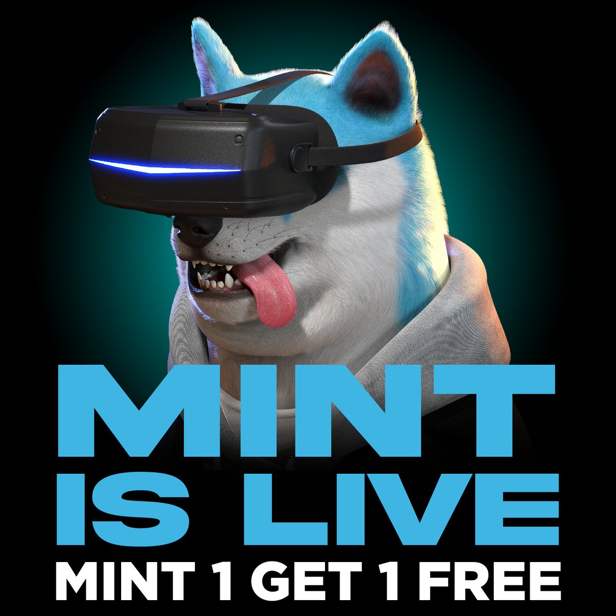 𝗠𝗜𝗡𝗧 𝗜𝗦 𝗟𝗜𝗩𝗘

✅ONLY use the official MINT PAGE to MINT: mint.boreddogeclub.io (LINK IN BIO)

✅The MAX Mint per person is 5NFTs. However, you have access to our 𝗠𝗜𝗡𝗧 𝟭 𝗚𝗘𝗧 𝟭 𝗙𝗥𝗘𝗘 Offer. Meaning you can grab up to 10 Bored Doge NFTs total if you're early!