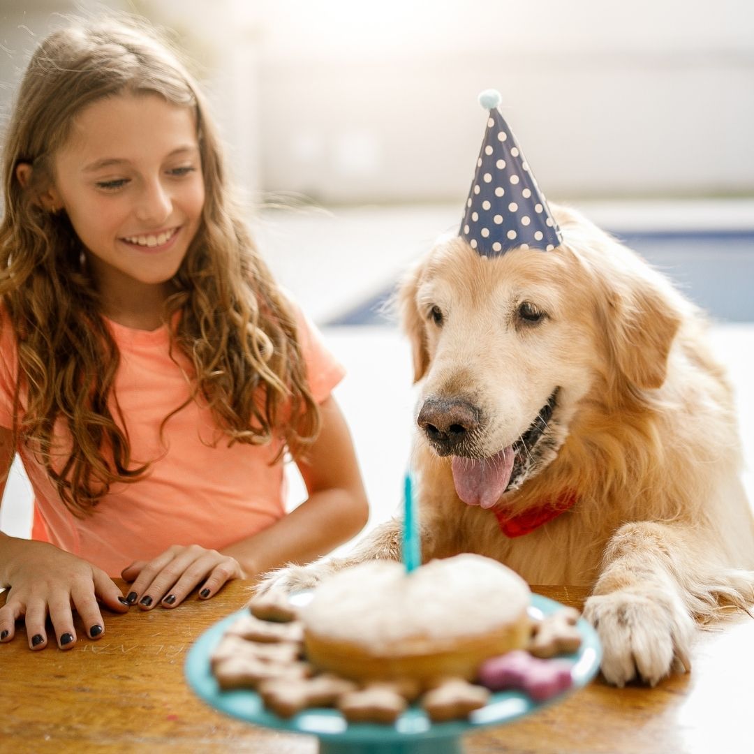 LBIWRS's tweet photo. Happy National Pet Day! 

#nationalpetday #dogs #dogsofinstagram #of #dog #puppy #dogstagram #pets #love #instagram #cute #instadog #dogoftheday #doglover #cat #cats #pet #ilovemydog #petsofinstagram https://t.co/NeU5Ld0Lxc