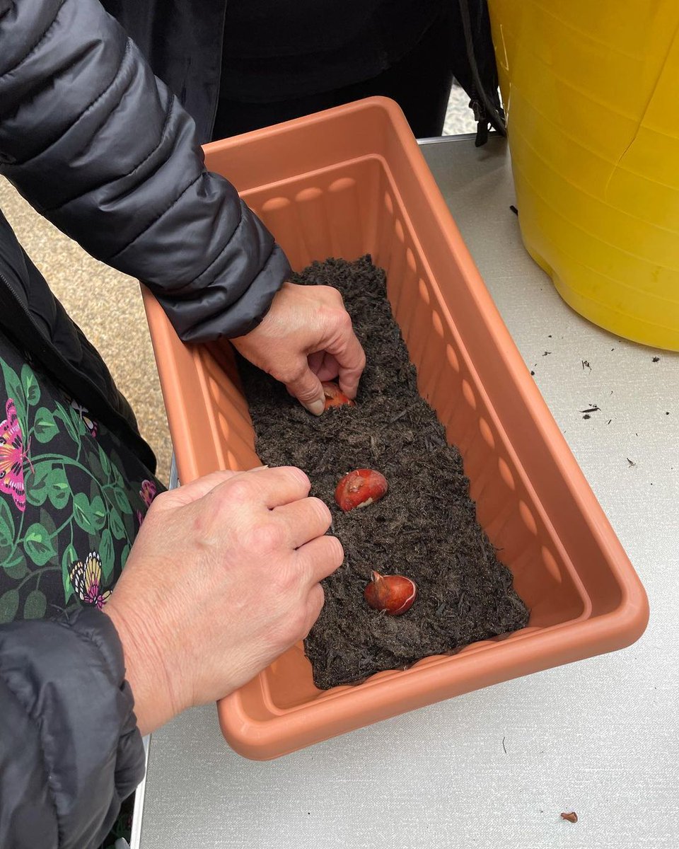 SouthernHsg_UK's tweet photo. Over the last year weβve been working in partnership with Arbor Projects on a project called βGrowing Togetherβ π±
They have worked across four estates over the last 10 months, supporting residents to transform their green spaces π
#Southern360 #SHGCommunity https://t.co/IP1CTQfXpF