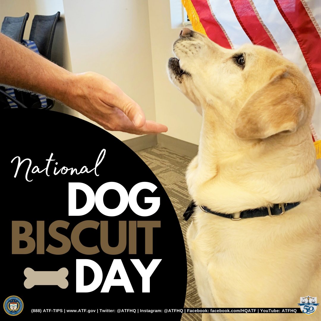 Is Today National Dog Biscuit Day