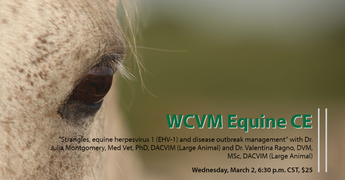 Dr. Julia Montgomery &amp; Dr. Valentina Ragno will discuss strangles, equine herpesvirus 1 (EHV-1) and disease outbreak management at our next #EquineCE event on Wednesday, March 2 at 6:30 p.m. CST. This seminar costs $25. More info: wcvm.usask.ca/education/equi… #horsehealth