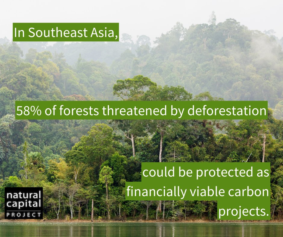 Photo of a Thai forest. Text: in Southeast Asia, 58% of forests threatened by loss could be protected as financially viable carbon projects. NatCap logo in lower left corner.