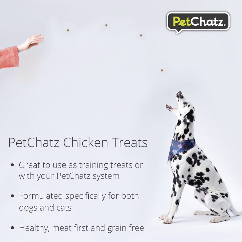 PetChatz's tweet photo. Treat your pet for #NationalDogBiscuitDay!

PetChatz Chicken Treats are healthy, grain free, semi-moist miniature treats for dogs and cats! Buy now: https://t.co/l0hs0zap9q https://t.co/Qi2qFbpBxl