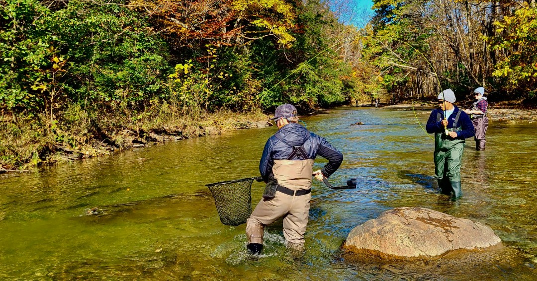 pafishandboat's tweet photo. If you're interested in fishing and haven't been introduced to Pennsylvania steelhead, what are you waiting for? Join PFBC staff for this free, virtual "Intro to PA Steelhead Fishing" program!

https://t.co/7GiYm55k6I

🎣 #PFBC #PaFishandBoat #PaFishing #PaSteelhead #PA https://t.co/yYNCgl4SUi