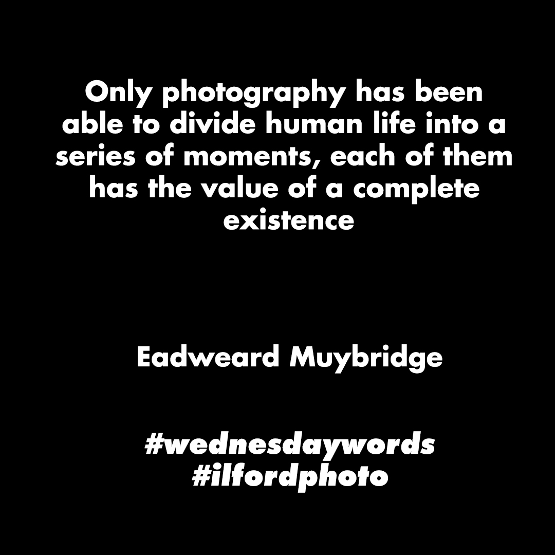 ILFORDPhoto's tweet photo. #wednesdaywords #ilfordphoto https://t.co/bG2cc1ymBT