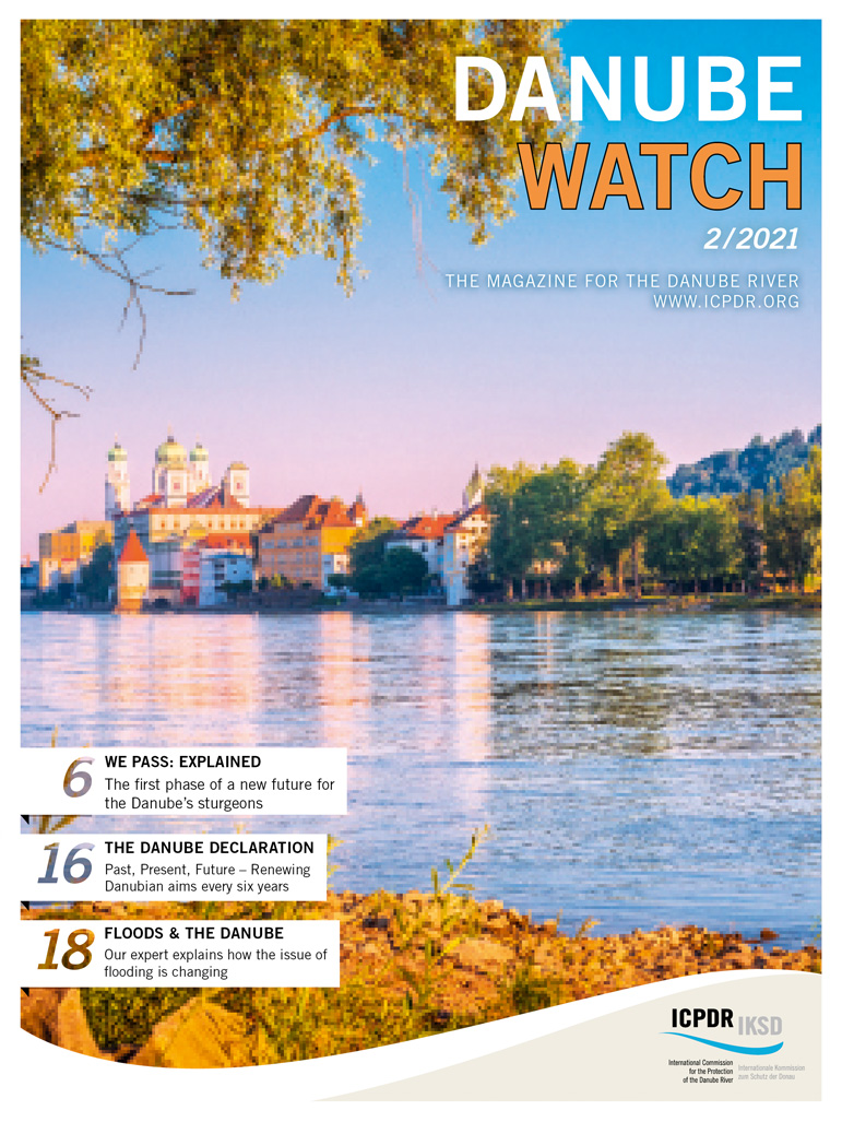 ICPDR_ORG's tweet photo. New reading tip! We just published the newest #DanubeWatch π.
Find out about the future of the Danube's sturgeons, how the issue of flooding in the Danube River Basin is evolving, and what lies behind our recent Danube Declaration π https://t.co/BB3c5pZU0u
#KeeperoftheDanube https://t.co/QfbgEnUKM3