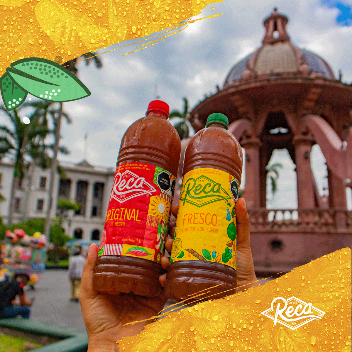 Te_Reca's tweet photo. #Queretaro es el nuevo lugar que estamos conquistando con nuestro #Recalove Queremos que todos prueben el delicioso sabor de nuestra línea de Té Reca. Gracias por recibirnos 😍 https://t.co/Vc5gO2IOUr