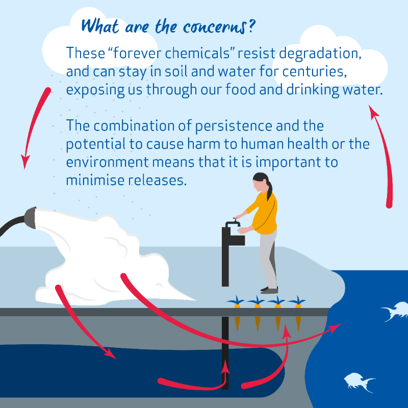 EU_ECHA's tweet photo. 👉🏻A #PFAS-free environment is important to ensure safe food and #DrinkingWaterEU.

🛑We are proposing a ban of PFAS-based firefighting foams to stop these #ForeverChemicals from further contaminating the environment and risking our health.

#SaferChemicals #ZeroPollution