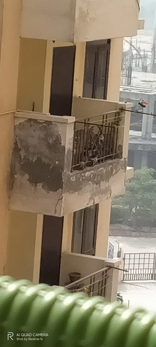 krisharma's tweet image. @mlkhattar @cmohry @dtcphry @DC_Gurugram @DEEPAKKAHUJA @TOIGurgaon @BJP4Haryana @rakeshdaultabad Apex Our homes 37, C GGN, People living in fear &amp;amp; worry, just 2 year old,worst condition and substandard quality, builder hiding by painting... STRUCTURAL AUDIT NEEDED IMMIDIATLY ....