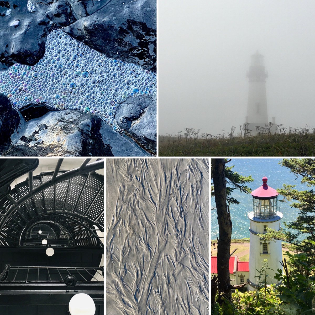 goodrum's tweet photo. Happy to report I had 5 Photos Published in an Artist Showcase at Lighthouse Weekly in January! https://t.co/PIeVCZjWWP https://t.co/APBPDU42Dl