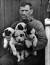 RossShelf's tweet photo. always a good day to read about this guy... https://t.co/38Mxrq1bjc https://t.co/0PU4BmaXuL