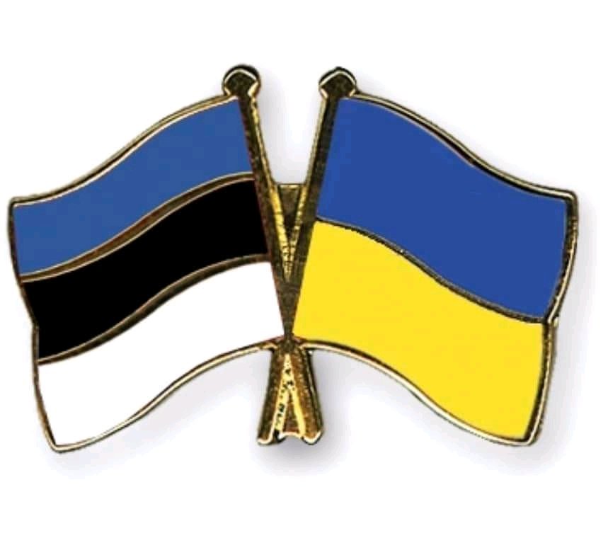 vic_tory7's tweet photo. Happy Independence Day to Estonia and my thoughts of support and Hope for peace and prosperity of the Ukrainian people ❤️ https://t.co/xrDHakHdJr