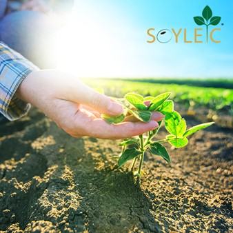Does your chosen soybean seed have the potential for premiums? SOYLEIC® does. 

Explore why farmers are planting non-GMO, high oleic soybeans: soyleic.com/grow/

#UnitedSoybeanBoard