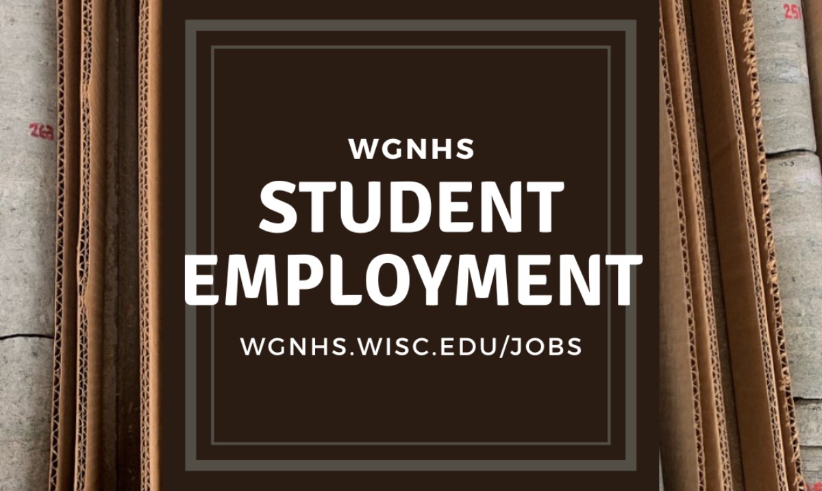 📢 Reminder — #WGNHS is looking for a part-time student bedrock sampling assistant! This is a good opportunity for a current student to add some #geoscience work experience to their resume. More info, apply by 2/25/22 ⬇️ studentjobs.hr.wisc.edu/cw/en-us/job/5… @uwgeoscience @MadtownGeoClub