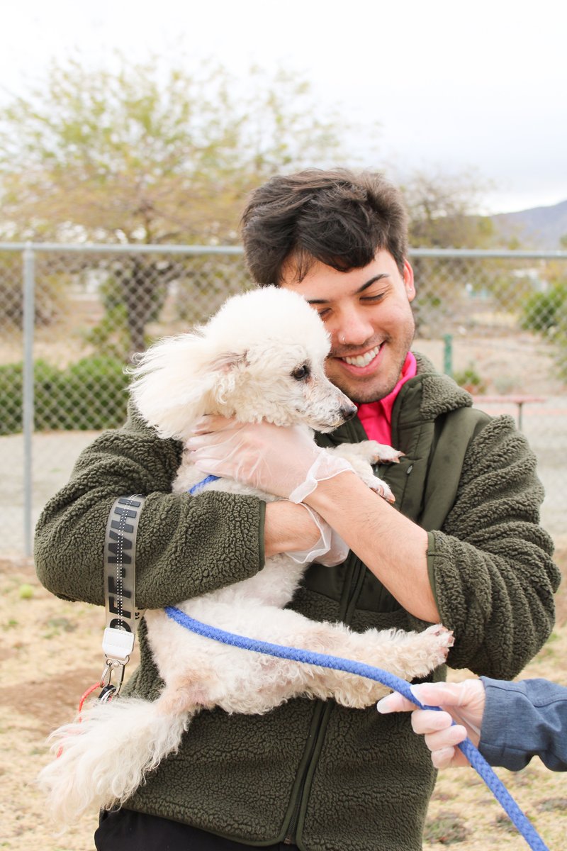 EmbryHealth's tweet photo. Today Team Embry took some time to volunteer at the Arizona Humane Society! We had such a blast getting to meet and play with Buffy, Draco, Papitas and all the other fluffy puppers. It was extremely hard to leave the without taking home a new friend. #embryhealth #volunteering https://t.co/kRAD5NqlI3