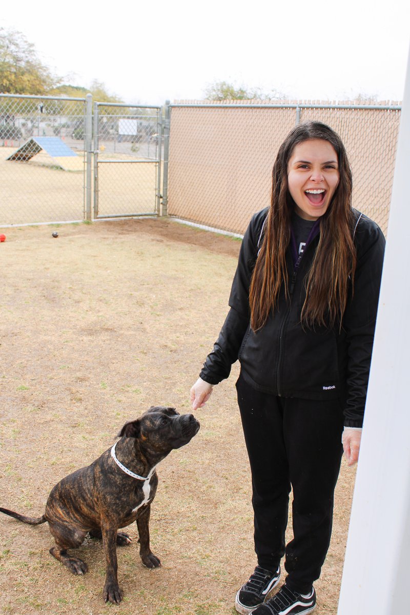 EmbryHealth's tweet photo. Today Team Embry took some time to volunteer at the Arizona Humane Society! We had such a blast getting to meet and play with Buffy, Draco, Papitas and all the other fluffy puppers. It was extremely hard to leave the without taking home a new friend. #embryhealth #volunteering https://t.co/kRAD5NqlI3