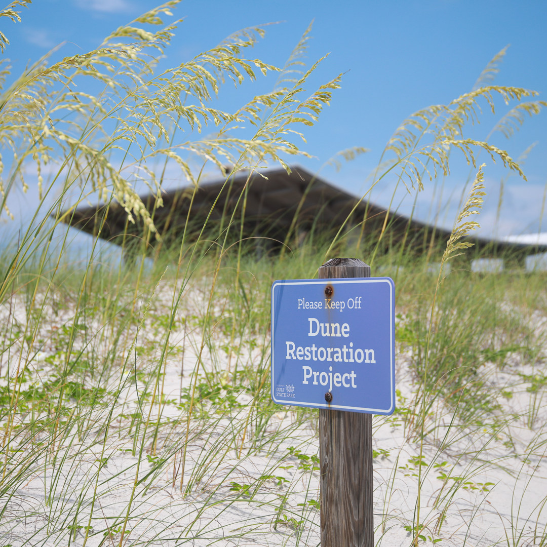Did you know, the beach vegetation holds together the fragile dunes? 🏖️

#leaveonlyfootprints #cleanisland #loflifestyle #gulfcoast #gulf #coast #gulfshores #orangebeach #beach #alabamabeaches #alabamacoast #cleancoast #ecofriendly #cleanbeach