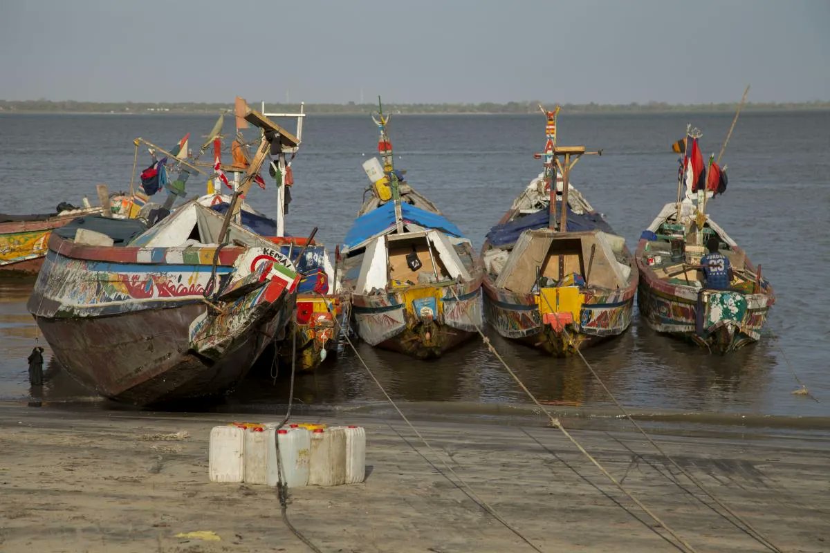 C56DF Gambia
Don, G3XTT, will be active as C56DF from the Gambia, 9 - 18 Mar 2022
QRV HF Bands, CW, including activity in BERU Contest
bit.ly/3Ifzpcj
#HamRadio #AmateurRadio #Hamr #HamRadioSoftware #HamRadioDeluxe #SpreadTheWord