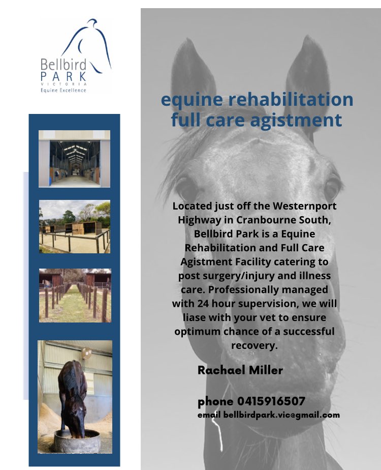 bellbird_park's tweet photo. We currently have a few rehab spots available 🐎🚑 https://t.co/IGW3YMUkUh