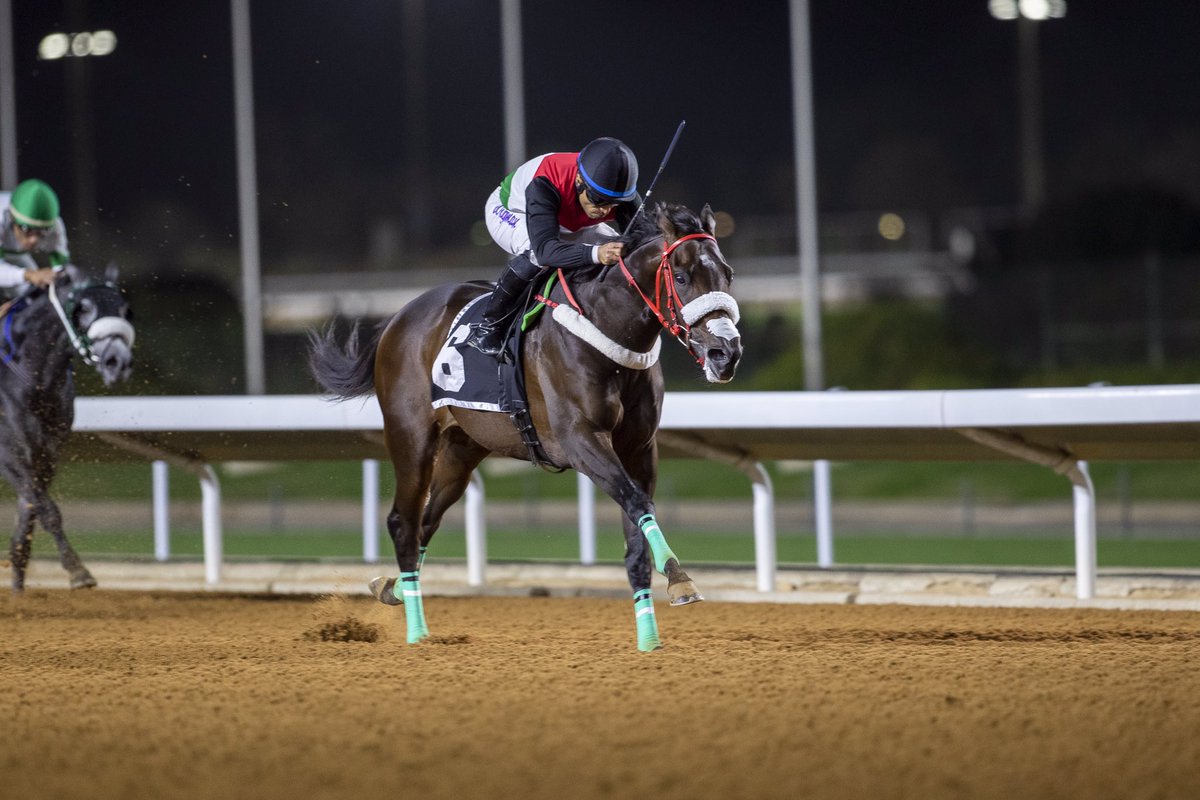 المثنى🇸🇦🏆👏🐎
في الداربي السعودي
يأملنا🌍🐎