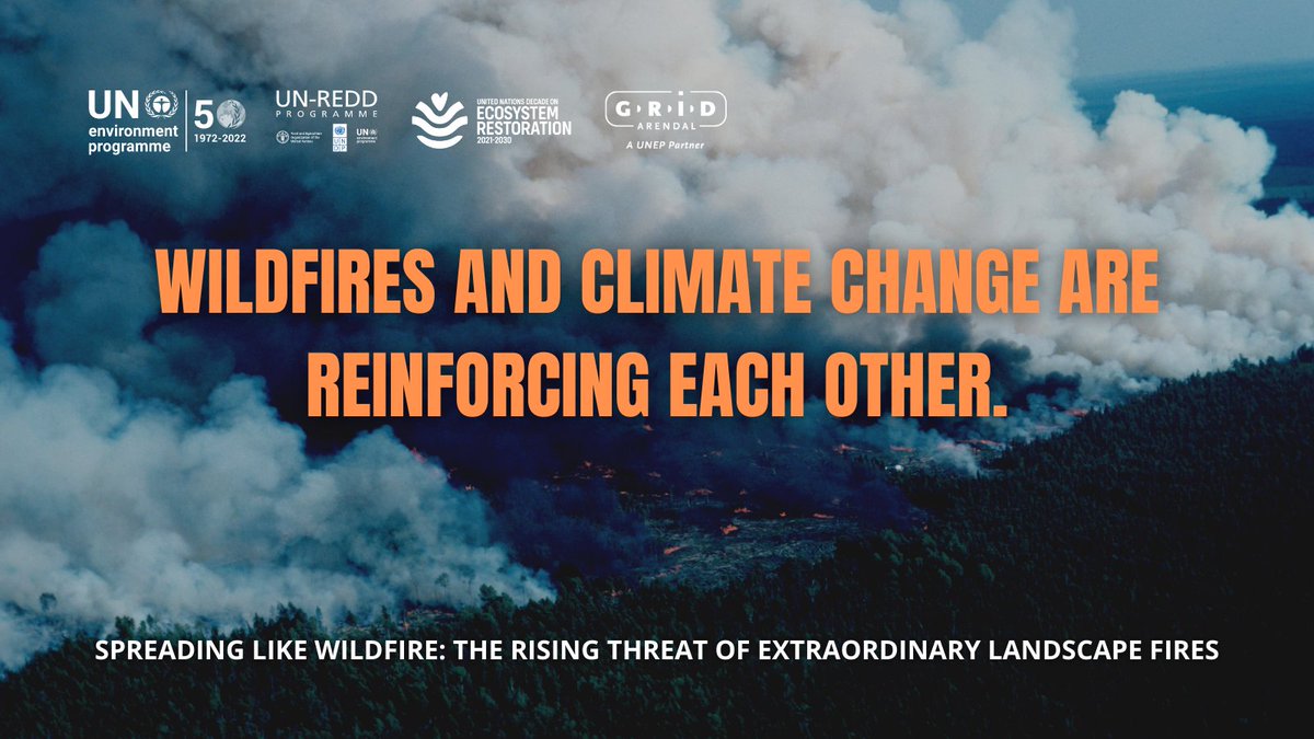 UN's tweet photo. The climate crisis & land-use change are projected to make wildfires more frequent & intense.
@UNEP explains how wildfires affect lives & livelihoods and impede progress towards the #GlobalGoals: https://t.co/AmvPMlOyy8 https://t.co/4AwZPEap0h