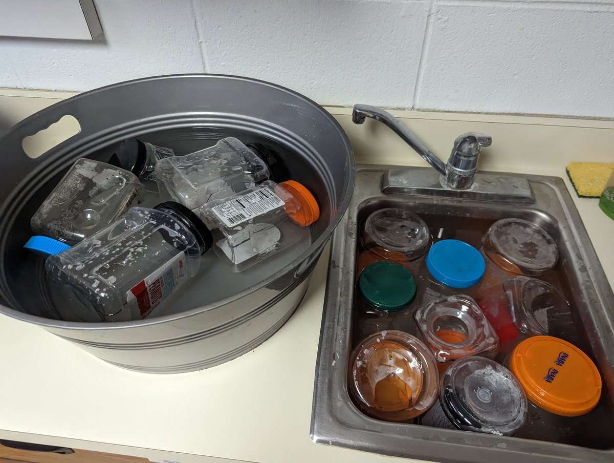 Esther Bevan tweet media