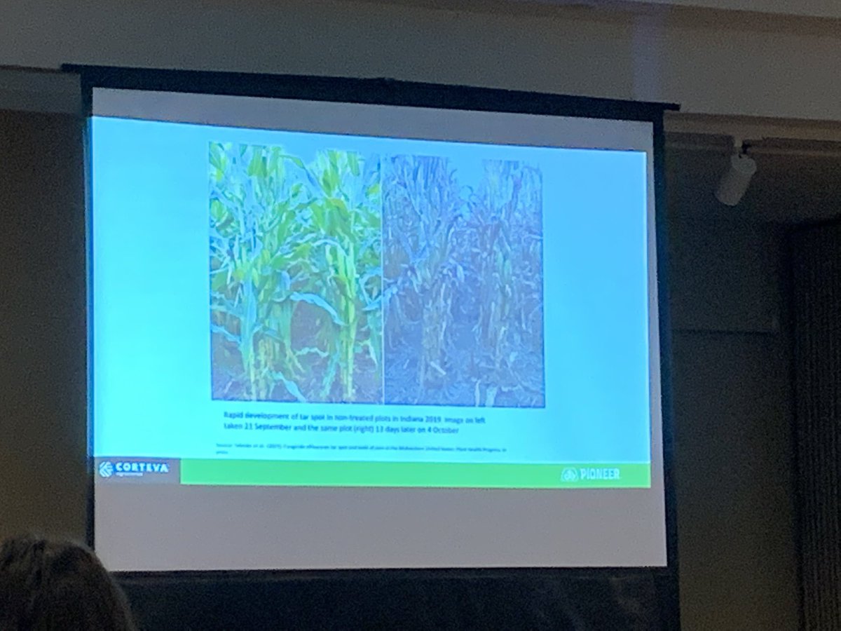 Matt Montgomery tweet media