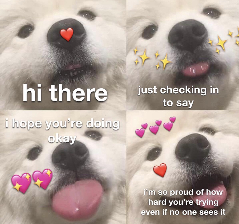 WholesomeMeme's tweet photo. https://t.co/AZYXDHwbrI