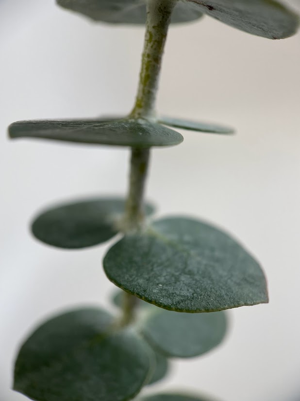 Lisa Winkler tweet media