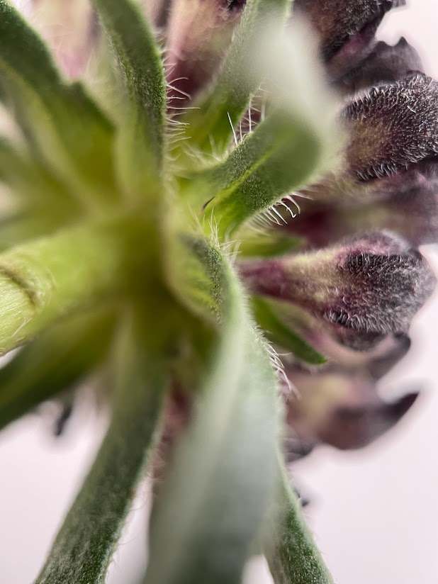 Lisa Winkler tweet media